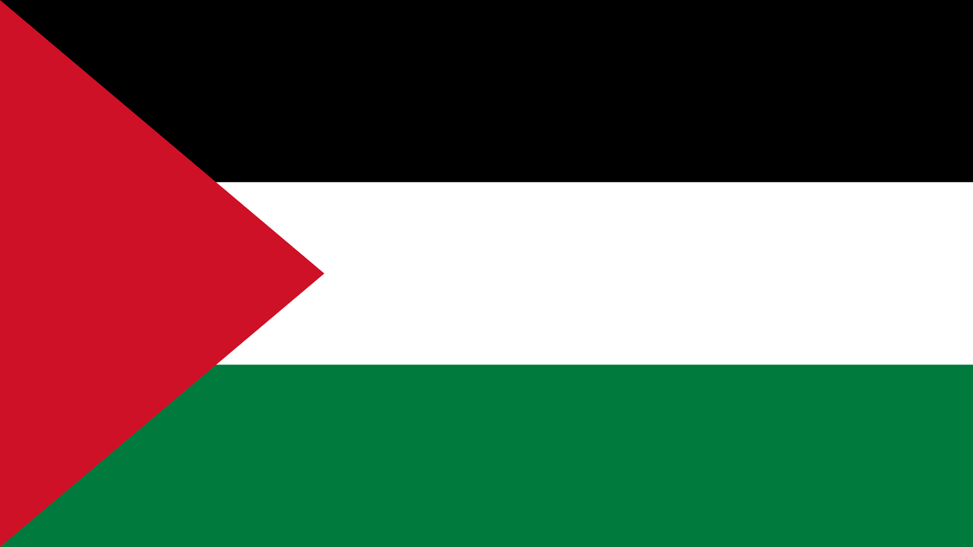 flag of hate Blank Meme Template