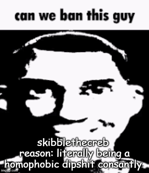 Can we ban this guy | skibblethecreb 
reason: literally being a homophobic dipshit consantly | image tagged in can we ban this guy | made w/ Imgflip meme maker