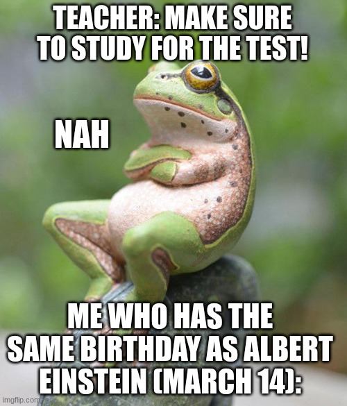 . | TEACHER: MAKE SURE TO STUDY FOR THE TEST! NAH; ME WHO HAS THE SAME BIRTHDAY AS ALBERT EINSTEIN (MARCH 14): | image tagged in nah frog,hi if youre reading this tag then youre probably bored | made w/ Imgflip meme maker
