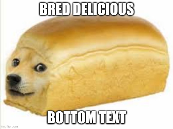 Doge bread | BRED DELICIOUS; BOTTOM TEXT | image tagged in doge bread | made w/ Imgflip meme maker