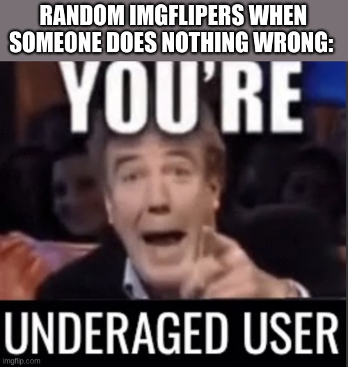 Seriously tho | RANDOM IMGFLIPERS WHEN SOMEONE DOES NOTHING WRONG: | image tagged in you re underage user | made w/ Imgflip meme maker