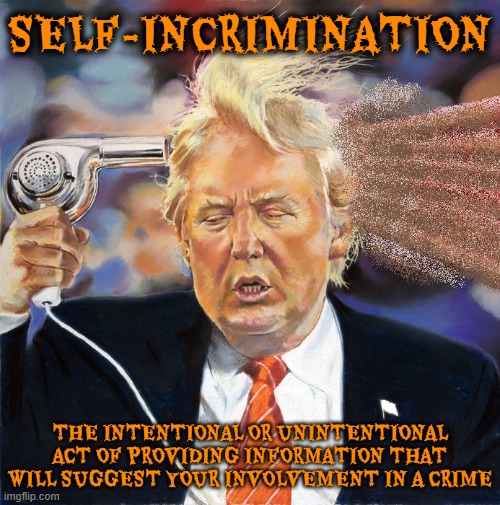 SELF-INCRIMINATION | SELF-INCRIMINATION; THE INTENTIONAL OR UNINTENTIONAL ACT OF PROVIDING INFORMATION THAT WILL SUGGEST YOUR INVOLVEMENT IN A CRIME | image tagged in self-incrimination,crime,testify,guilty,liable,shit for brains | made w/ Imgflip meme maker