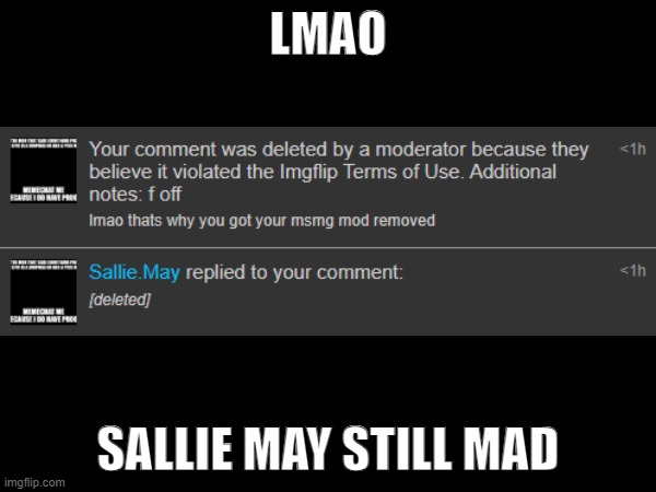 anti furry society drama | LMAO; SALLIE MAY STILL MAD | image tagged in sallie may | made w/ Imgflip meme maker