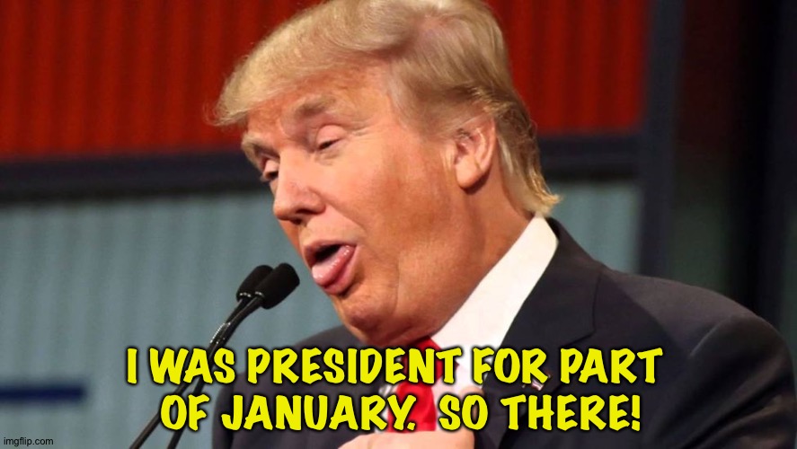 Stupid trump | I WAS PRESIDENT FOR PART 
OF JANUARY.  SO THERE! | image tagged in stupid trump | made w/ Imgflip meme maker