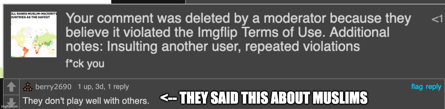 please unban me site mods | <-- THEY SAID THIS ABOUT MUSLIMS | made w/ Imgflip meme maker