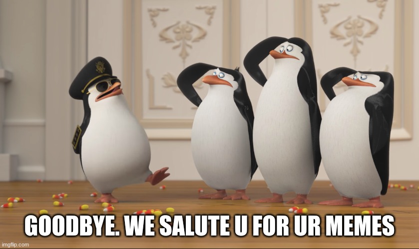 Saluting skipper | GOODBYE. WE SALUTE U FOR UR MEMES | image tagged in saluting skipper | made w/ Imgflip meme maker