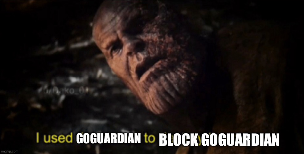 I used the stones to destroy the stones | BLOCK GOGUARDIAN GOGUARDIAN | image tagged in i used the stones to destroy the stones | made w/ Imgflip meme maker