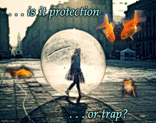 Feeling this way today . . . can't read the fish outside my bubble | . . . is it protection; . . . or trap? | image tagged in fishbowl,fish,neurodivergent,autism,other people | made w/ Imgflip meme maker