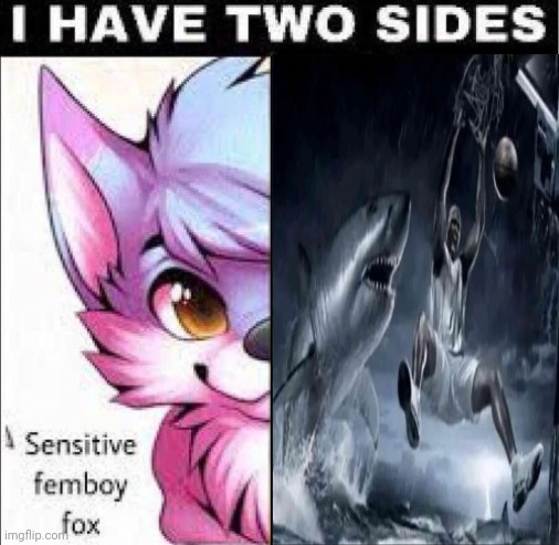 I have two sides | image tagged in i have two sides | made w/ Imgflip meme maker