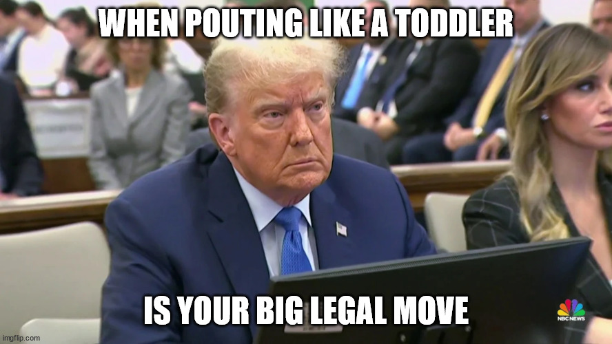 WHEN POUTING LIKE A TODDLER; IS YOUR BIG LEGAL MOVE | made w/ Imgflip meme maker