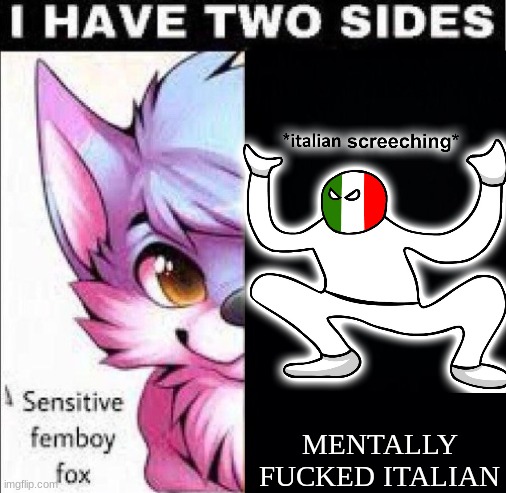 yeeter deleter | MENTALLY FUCKED ITALIAN | image tagged in i have two sides | made w/ Imgflip meme maker