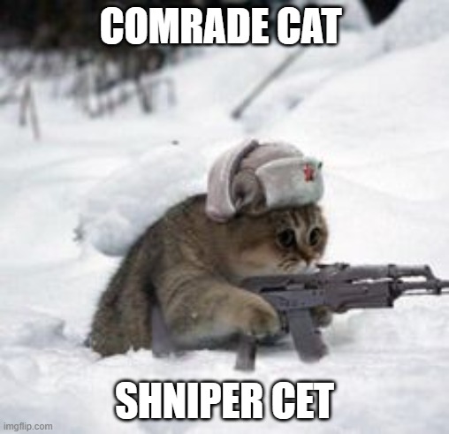 russian cat | COMRADE CAT; SHNIPER CET | image tagged in russian cat | made w/ Imgflip meme maker