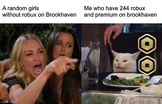 Roblox be like: | A random girls without robux on Brookhaven; Me who have 244 robux and premium on brookhaven | image tagged in memes,woman yelling at cat | made w/ Imgflip meme maker