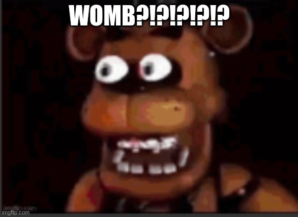 juan?!?!? | WOMB?!?!?!?!? | image tagged in juan | made w/ Imgflip meme maker