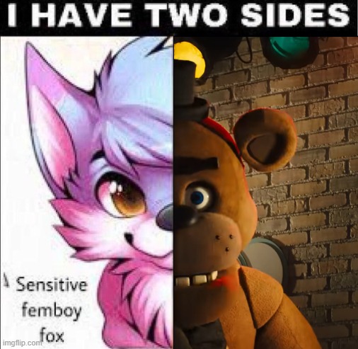 Are you ready for Freddy? | image tagged in i have two sides | made w/ Imgflip meme maker