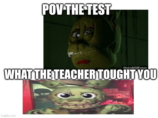 test | POV THE TEST; WHAT THE TEACHER TOUGHT YOU | image tagged in test | made w/ Imgflip meme maker