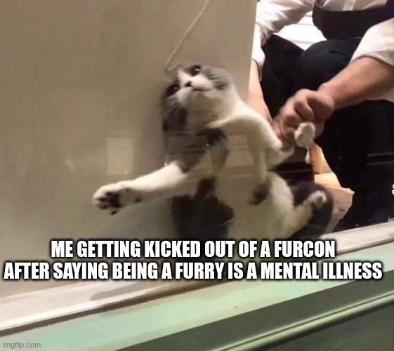 me at the furcon | ME GETTING KICKED OUT OF A FURCON AFTER SAYING BEING A FURRY IS A MENTAL ILLNESS | image tagged in cat dragged from window | made w/ Imgflip meme maker