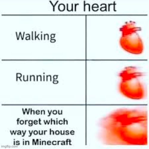 True | image tagged in memes | made w/ Imgflip meme maker