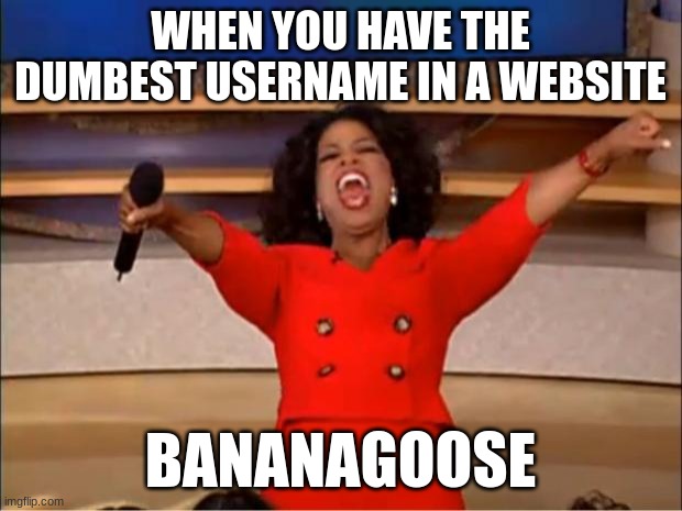 Oprah You Get A | WHEN YOU HAVE THE DUMBEST USERNAME IN A WEBSITE; BANANAGOOSE | image tagged in memes,oprah you get a | made w/ Imgflip meme maker