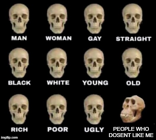 listen to me | PEOPLE WHO DOSENT LIKE ME | image tagged in idiot skull | made w/ Imgflip meme maker