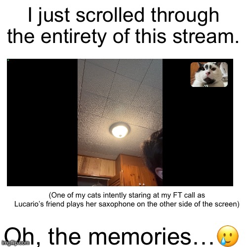 This call took place during the summer lol. Anyways, looked at comments too. Pretty sure Frost is our biggest fan, just saying. | I just scrolled through the entirety of this stream. Oh, the memories…🥲; (One of my cats intently staring at my FT call as Lucario’s friend plays her saxophone on the other side of the screen) | image tagged in memes,blank transparent square | made w/ Imgflip meme maker
