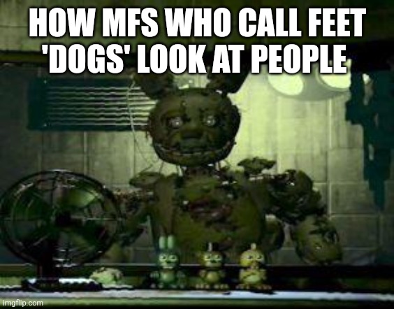 FNAF Springtrap in window | HOW MFS WHO CALL FEET 'DOGS' LOOK AT PEOPLE | image tagged in fnaf springtrap in window,meme | made w/ Imgflip meme maker