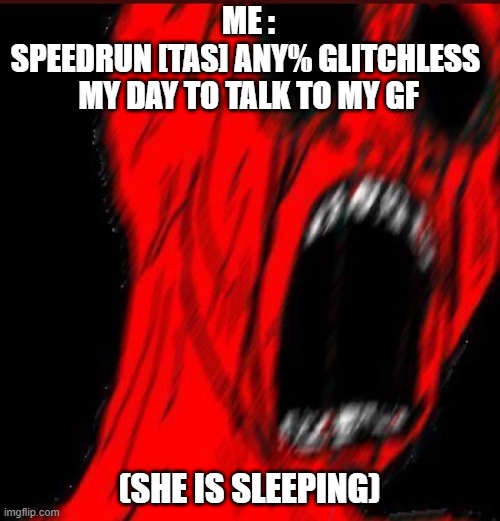 GF | ME :
SPEEDRUN [TAS] ANY% GLITCHLESS 
MY DAY TO TALK TO MY GF; (SHE IS SLEEPING) | image tagged in meme | made w/ Imgflip meme maker