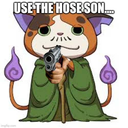 Me when you didn't use the hose | USE THE HOSE SON.... | image tagged in nyan cat | made w/ Imgflip meme maker