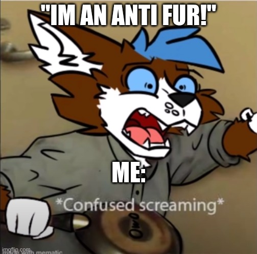 Confused furry screaming | "IM AN ANTI FUR!"; ME: | image tagged in confused furry screaming | made w/ Imgflip meme maker