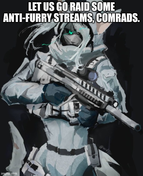Furry Soldier | LET US GO RAID SOME ANTI-FURRY STREAMS, COMRADS. | image tagged in furry soldier | made w/ Imgflip meme maker