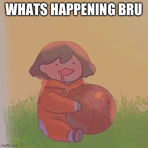 kel. | WHATS HAPPENING BRU | image tagged in kel | made w/ Imgflip meme maker