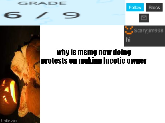 why is msmg now doing protests on making lucotic owner | image tagged in template number 4 | made w/ Imgflip meme maker