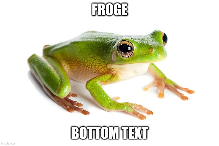 froge | FROGE; BOTTOM TEXT | image tagged in i never know what to put for tags,stop reading the tags,seriously,stop,stop it | made w/ Imgflip meme maker
