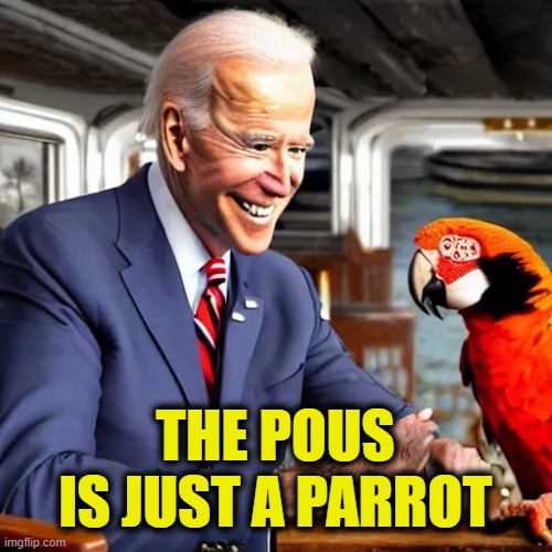 Who is really in charge | THE POUS
IS JUST A PARROT | image tagged in joe biden | made w/ Imgflip meme maker