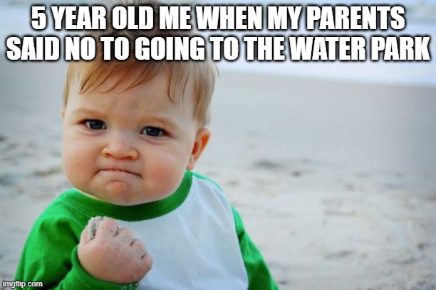 fr me | 5 YEAR OLD ME WHEN MY PARENTS SAID NO TO GOING TO THE WATER PARK | image tagged in memes,success kid original | made w/ Imgflip meme maker
