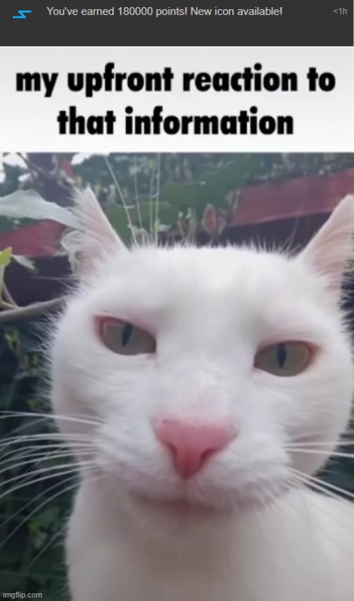 image tagged in my upfront reaction to that information | made w/ Imgflip meme maker
