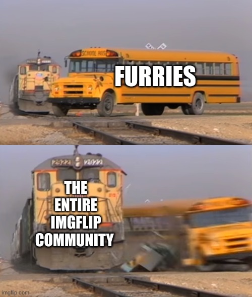 Ok listen here furries. We do not want your kind here. You all are degenerates of our world. You all are in inferior. We all hat | FURRIES; THE ENTIRE IMGFLIP COMMUNITY | image tagged in a train hitting a school bus,anti furry | made w/ Imgflip meme maker