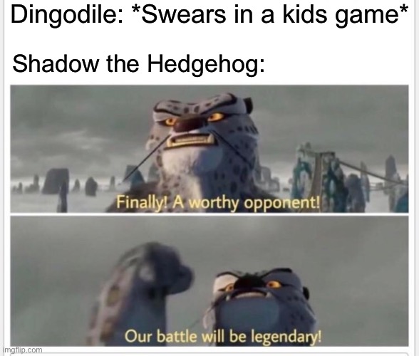 Finally! A worthy opponent! | Dingodile: *Swears in a kids game*; Shadow the Hedgehog: | image tagged in finally a worthy opponent,crash bandicoot,shadow the hedgehog | made w/ Imgflip meme maker