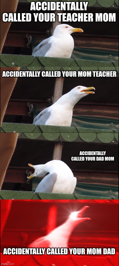 ACCIDENTALLY CALLED YOUR TEACHER MOM ACCIDENTALLY CALLED YOUR MOM TEACHER ACCIDENTALLY CALLED YOUR DAD MOM ACCIDENTALLY CALLED YOUR MOM DAD | image tagged in memes,inhaling seagull | made w/ Imgflip meme maker