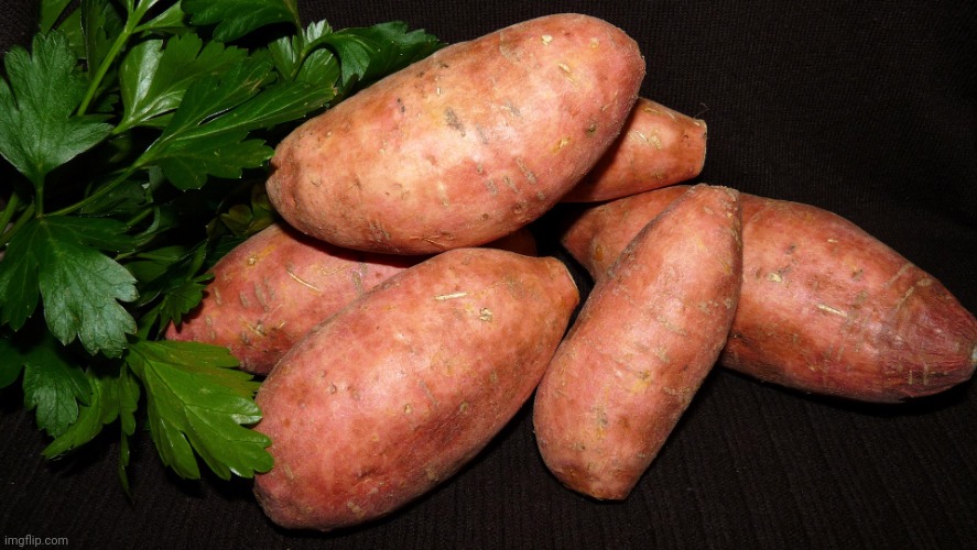 Sweet potato | image tagged in sweet potato | made w/ Imgflip meme maker