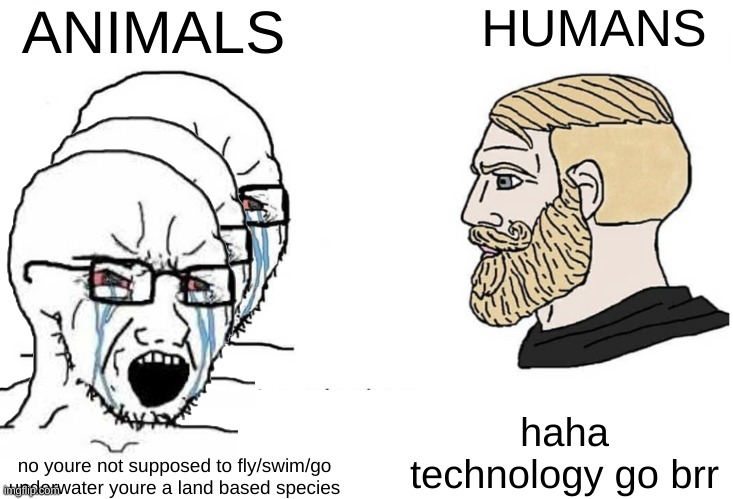 Soyboy Vs Yes Chad | ANIMALS; HUMANS; haha technology go brr; no youre not supposed to fly/swim/go underwater youre a land based species | image tagged in soyboy vs yes chad | made w/ Imgflip meme maker