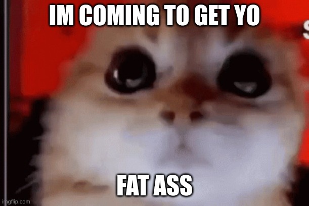 balls | IM COMING TO GET YO; FAT ASS | image tagged in balls | made w/ Imgflip meme maker