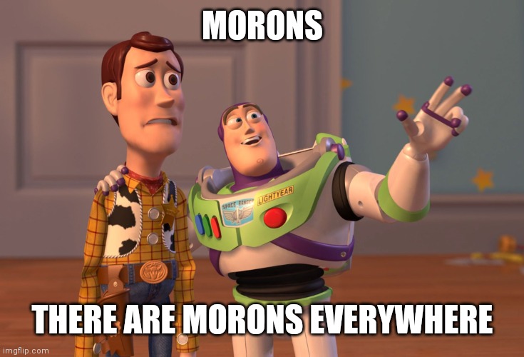 Morons everywhere | MORONS; THERE ARE MORONS EVERYWHERE | image tagged in memes,x x everywhere,funny memes | made w/ Imgflip meme maker