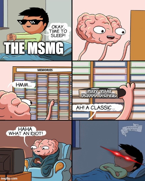 brain memories | THE MSMG; SHIT THAT FLIPPY POSTED | image tagged in brain memories | made w/ Imgflip meme maker