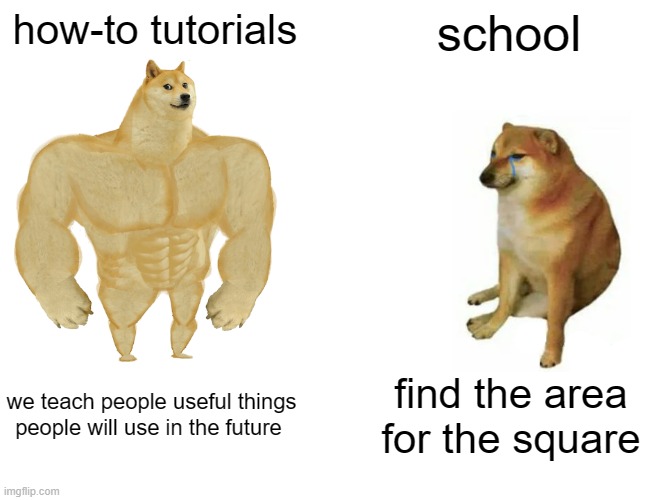 WASTED | how-to tutorials; school; we teach people useful things people will use in the future; find the area for the square | image tagged in memes,buff doge vs cheems,school memes,youtube,meaning,why | made w/ Imgflip meme maker