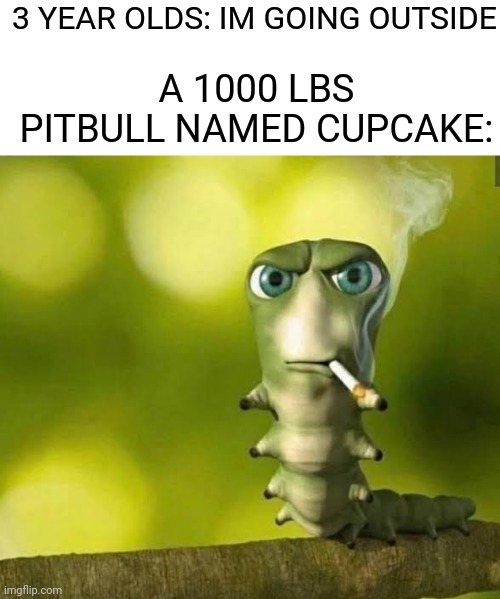 Watch out kid | 3 YEAR OLDS: IM GOING OUTSIDE; A 1000 LBS PITBULL NAMED CUPCAKE: | image tagged in caterpillar smoking,pitbull,toddler | made w/ Imgflip meme maker
