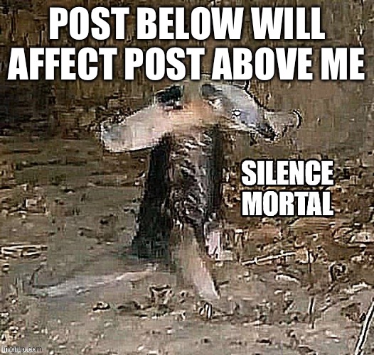 Silence Mortal Anteater | POST BELOW WILL AFFECT POST ABOVE ME | image tagged in silence mortal anteater | made w/ Imgflip meme maker