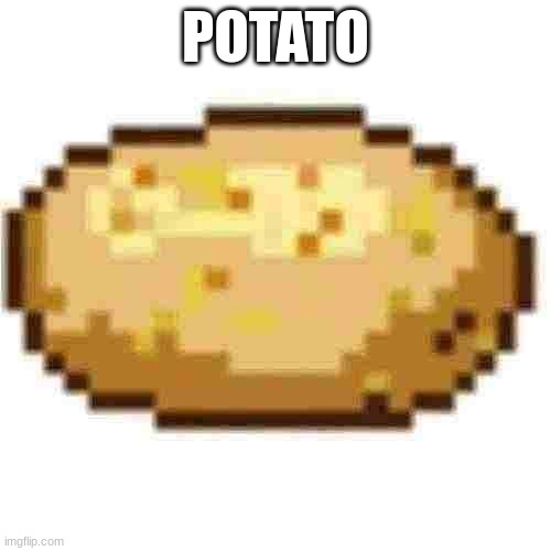 POTATO | image tagged in potato | made w/ Imgflip meme maker