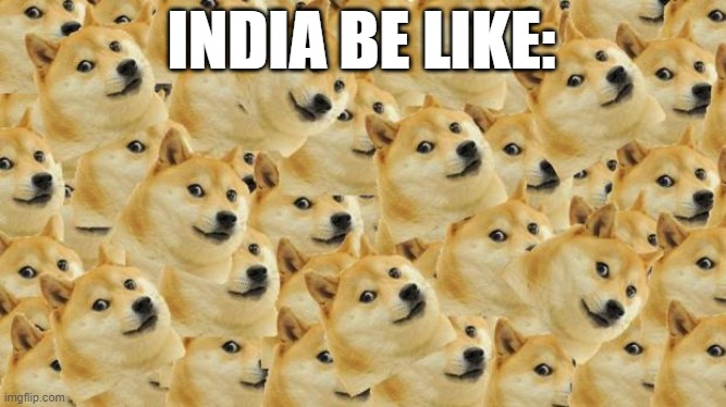 Multi Doge | INDIA BE LIKE: | image tagged in memes,multi doge,india | made w/ Imgflip meme maker