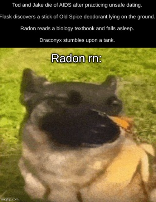 bro has 0 enemies | Radon rn: | image tagged in dog with butterfly | made w/ Imgflip meme maker